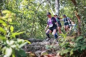 BIB: 
                            <button type="button" onclick="openModal(27699288)" class="btn btn-primary btn-sm float-right btn-popup" data-toggle="modal" data-target=".modal-high-quality">
                        <i class="fas fa-shopping-cart"></i> Add to Cart
                    </button>
                                            <button type="button" onclick="isThisMe(27699288, true)" class="btn btn-success btn-sm float-right btn-popup btn-isme hidden" data-toggle="tooltip" data-placement="bottom" title="นี่คือรูปของคุณใช่ไหม คลิกที่นี่เพื่อเอาเข้าอัลบั้ม">
                        <i class="fas fa-plus"></i> Add to album
                    </button>
                    <button type="button" onclick="isThisMe(27699288, false)" class="btn btn-warning btn-sm float-right btn-popup btn-isnotme hidden">
                        <i class="fas fa-ban"></i> Remove from album
                    </button>